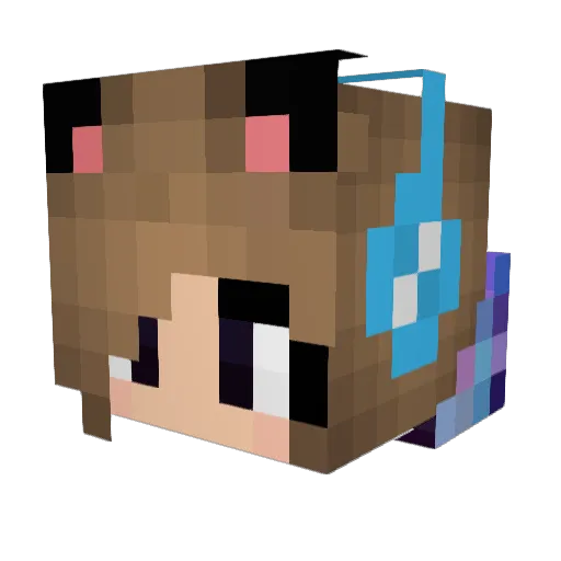 Crazy_B_x Minecraft avatar head, 3D render