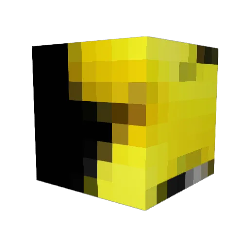 Crazy_Canadian09 Minecraft avatar head, 3D render
