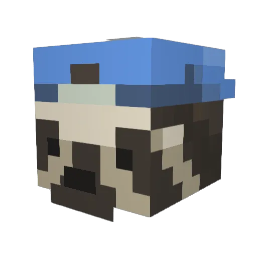 Crazy_Faultier Minecraft avatar head, 3D render