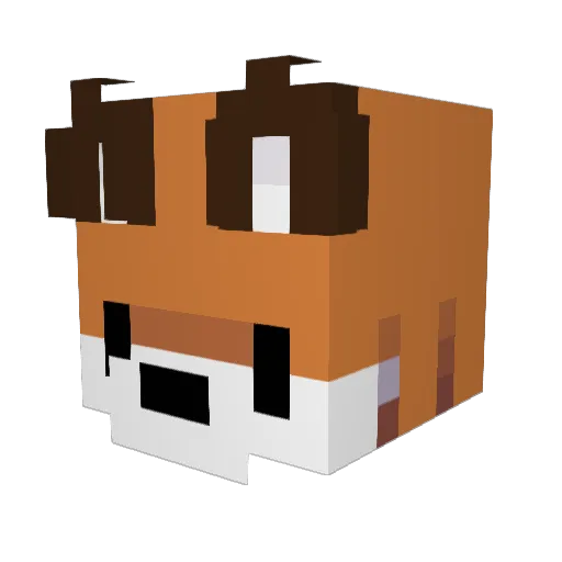 Crazy_Gamer1017 Minecraft avatar head, 3D render