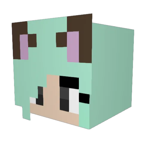 Crazy_Kitten_123 Minecraft avatar head, 3D render