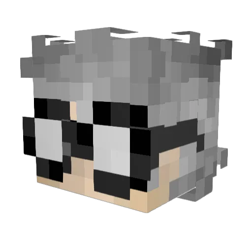 Crazy_Oreo_123 Minecraft avatar head, 3D render