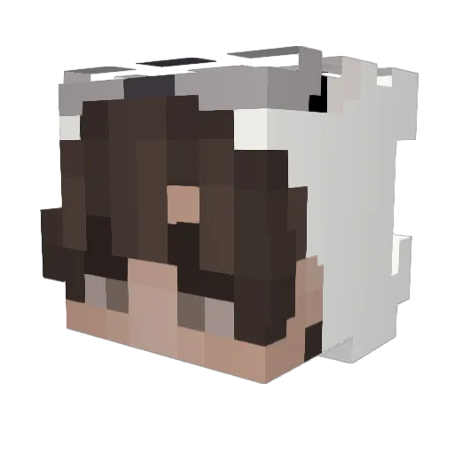 Crazy_Sapo Minecraft avatar head, 3D render