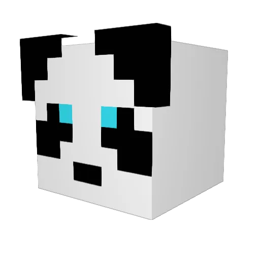 Crazy_Slayer29 Minecraft avatar head, 3D render