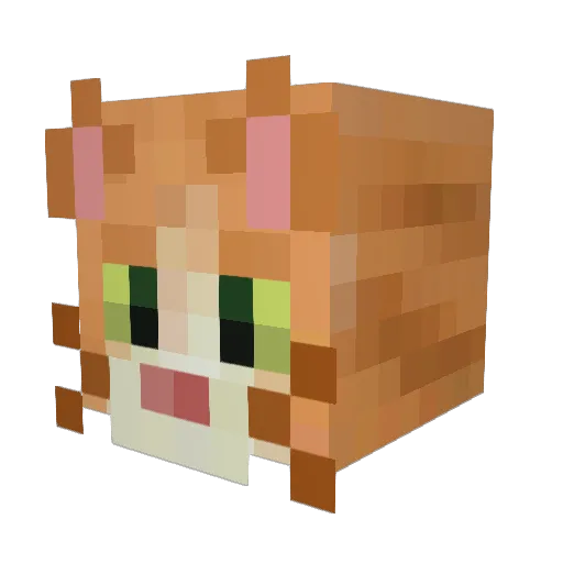 Crazycat509 Minecraft avatar head, 3D render