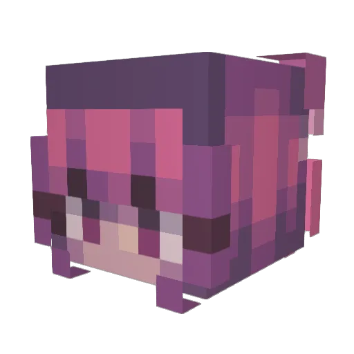 Crazycatpie Minecraft avatar head, 3D render