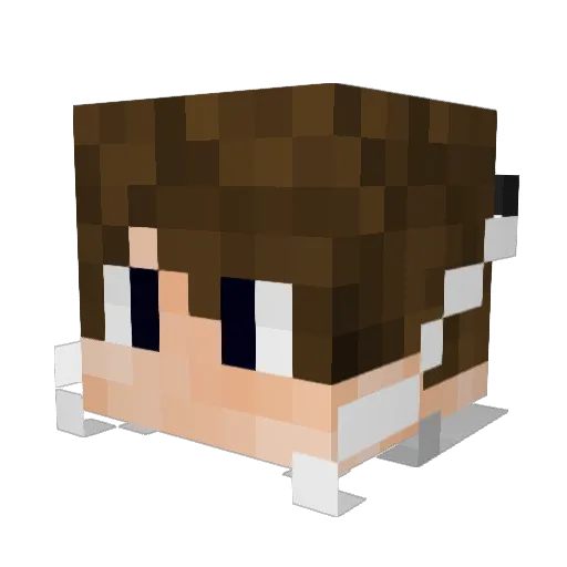Crazycharger Minecraft avatar head, 3D render