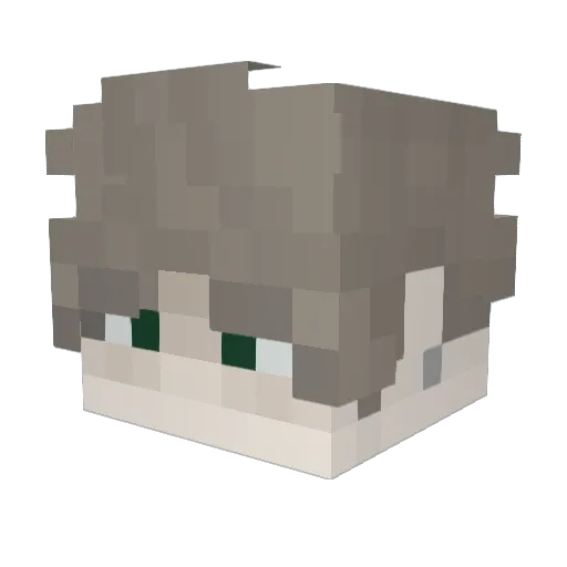 CrazycoolZ Minecraft avatar head, 3D render