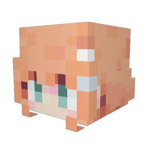 CrazydrakeKH4 Minecraft avatar head, 3D render