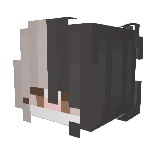 Crazyeye4kill Minecraft avatar head, 3D render