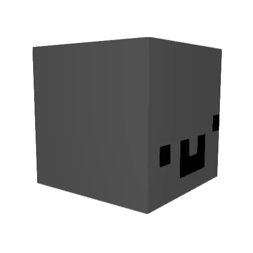 Crazyfish88 Minecraft avatar head, 3D render