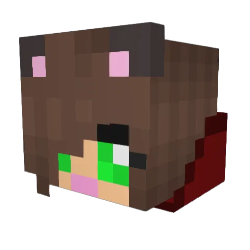 Crazyforhorses9 Minecraft avatar head, 3D render