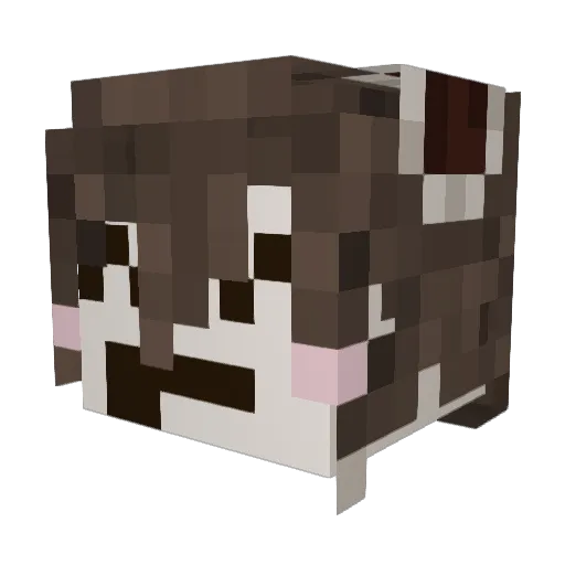 Crazyforyomama Minecraft avatar head, 3D render