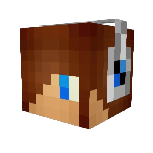 Crazyjump120 Minecraft avatar head, 3D render