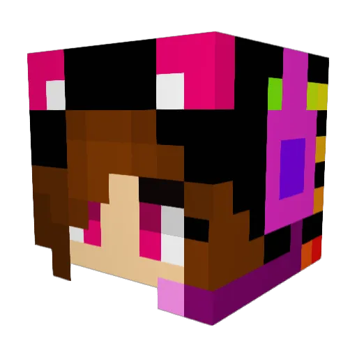 Crazyland1491 Minecraft avatar head, 3D render