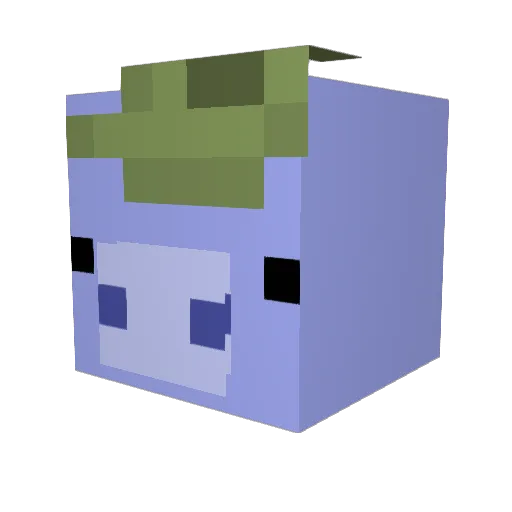 Crazynate645 Minecraft avatar head, 3D render