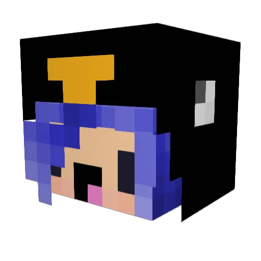 Crazypenguin71 Minecraft avatar head, 3D render