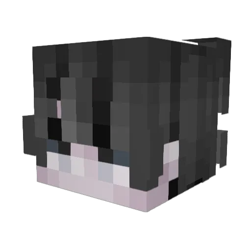 CrazyshineYT Minecraft avatar head, 3D render