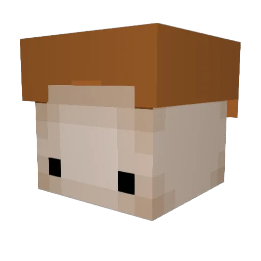 Crazyspoon21 Minecraft avatar head, 3D render