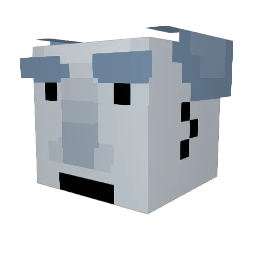 Crazytntboy9 Minecraft avatar head, 3D render