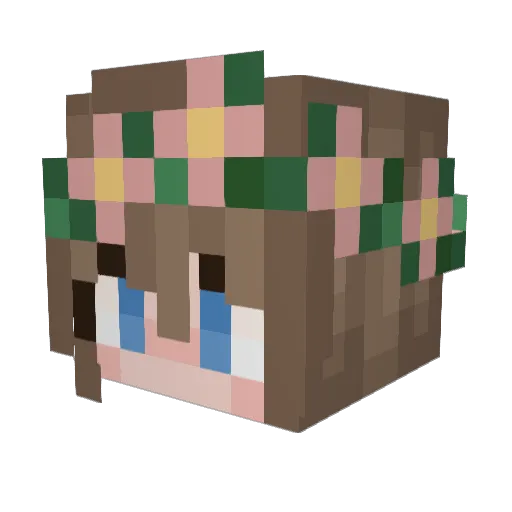 Crazytrane_1 Minecraft avatar head, 3D render