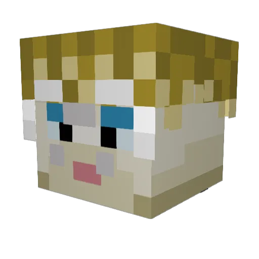 CreapercSlayer Minecraft avatar head, 3D render