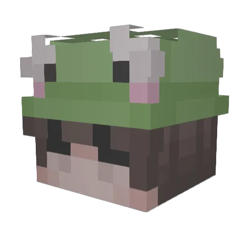 CreativeGuy2522 Minecraft avatar head, 3D render