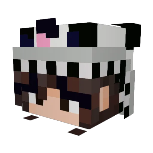 CreativeName525 Minecraft avatar head, 3D render