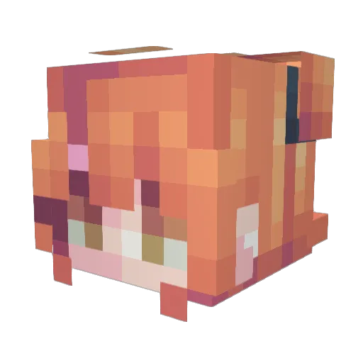 CreativeWisdom Minecraft avatar head, 3D render