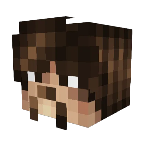 Credar Minecraft avatar head, 3D render