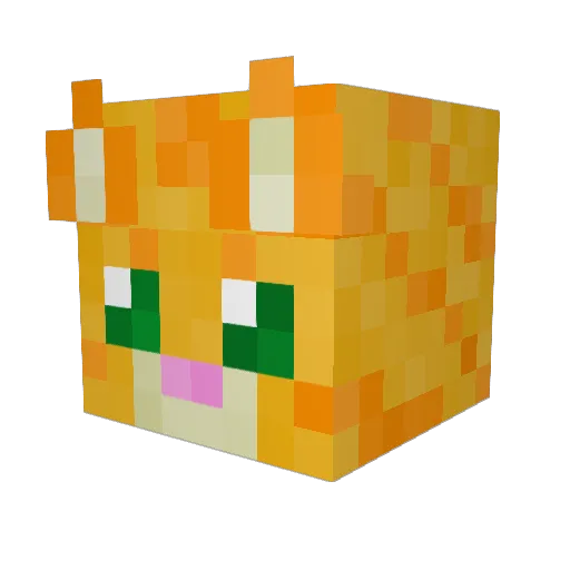 Credo_Moe Minecraft avatar head, 3D render
