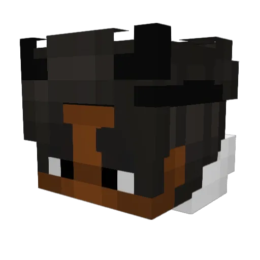 Creed918 Minecraft avatar head, 3D render