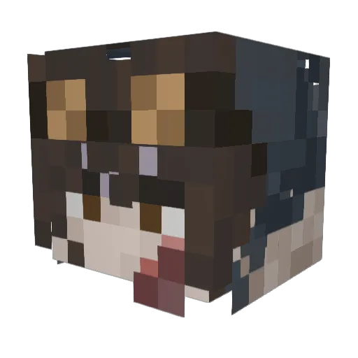 CreekMandO Minecraft avatar head, 3D render