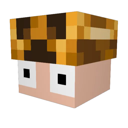 CreepeOr Minecraft avatar head, 3D render