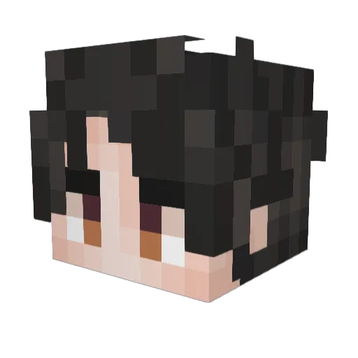 Creeper110310 Minecraft avatar head, 3D render