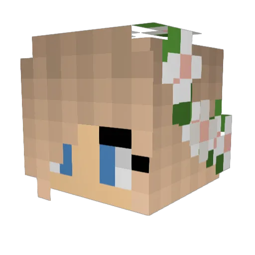 Creeper1234 Minecraft avatar head, 3D render