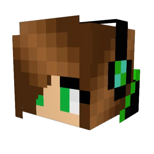 Creeper31013 Minecraft avatar head, 3D render