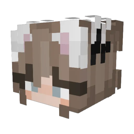 Creeper485 Minecraft avatar head, 3D render