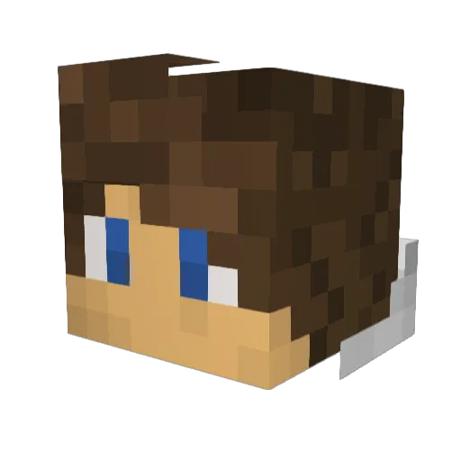 Creeper55 Minecraft avatar head, 3D render