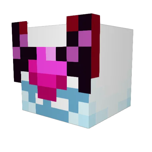 CreeperAnon Minecraft avatar head, 3D render
