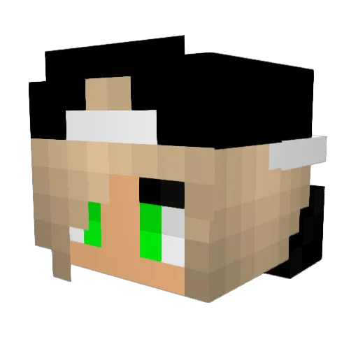 CreeperAtNight5 Minecraft avatar head, 3D render