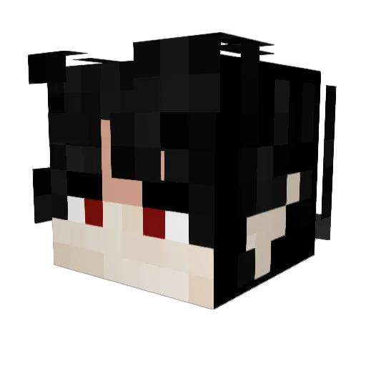 CreeperBoy117 Minecraft avatar head, 3D render