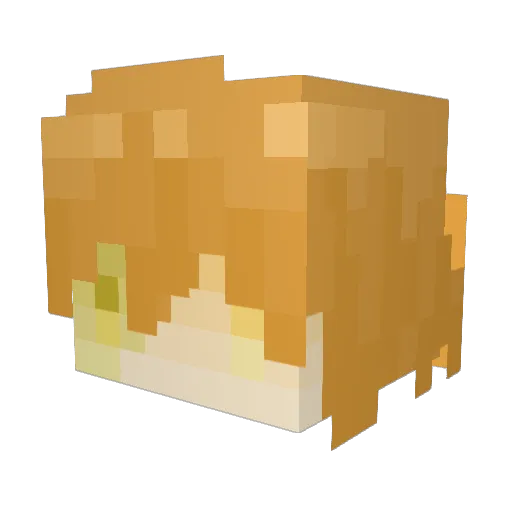 CreeperBoy20111 Minecraft avatar head, 3D render