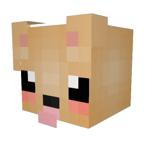 CreeperKatie19 Minecraft avatar head, 3D render