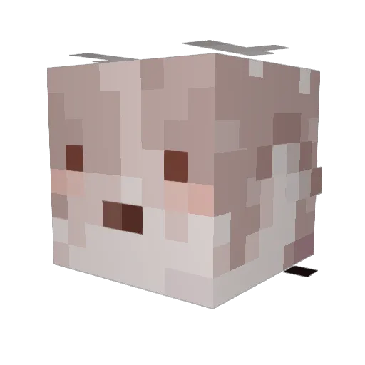 Creeper_Kitten Minecraft avatar head, 3D render