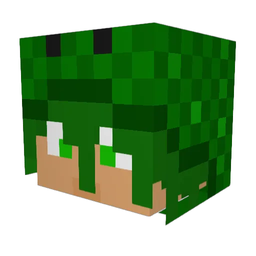 Creeper_jrds Minecraft avatar head, 3D render