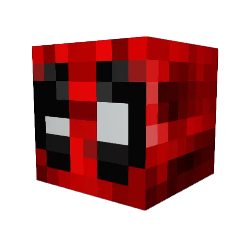 Creeper_master27 Minecraft avatar head, 3D render