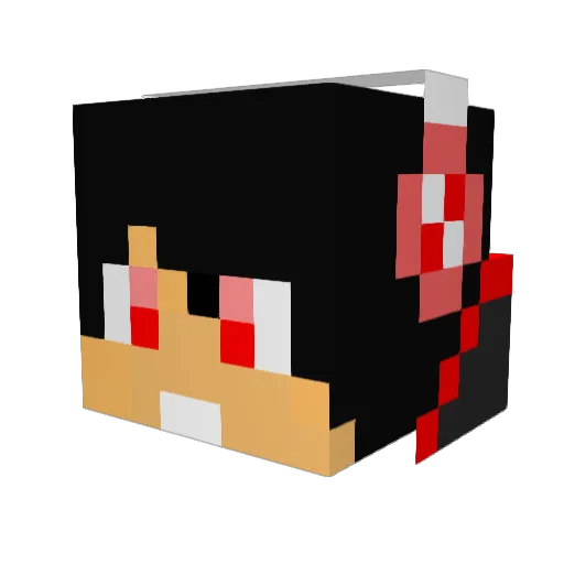 Creeperbot1233 Minecraft avatar head, 3D render