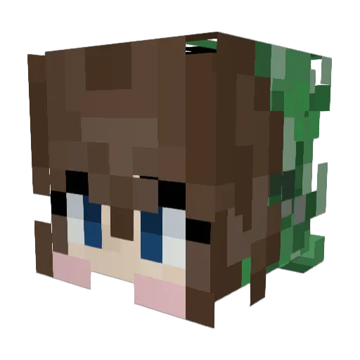 CreepergreiferYT Minecraft avatar head, 3D render