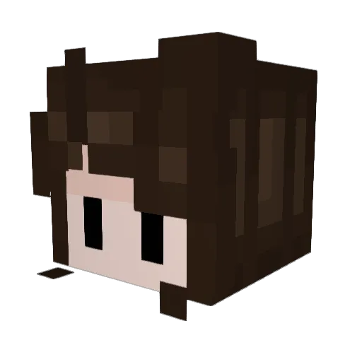Creeperman2397 Minecraft avatar head, 3D render